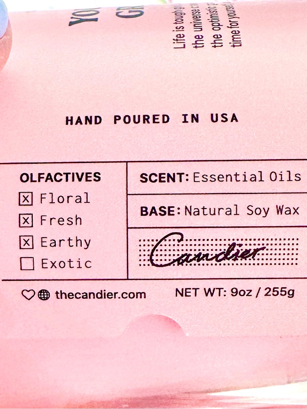 Candier You’re Doing Great Babe Candle NWT Pink Kawaii Y2K Gift - Picture 5 of 9